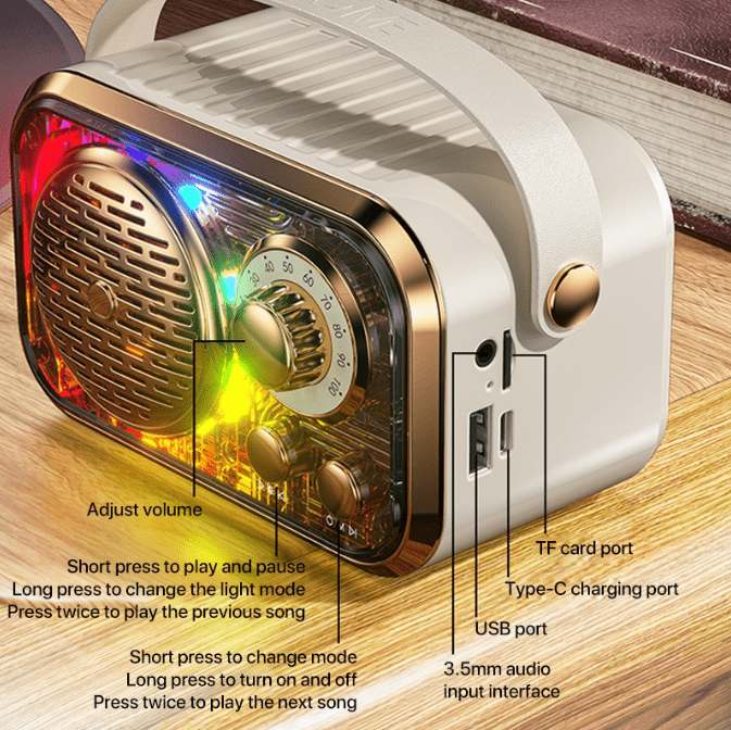 Karaoke Wireless Bluetooth Speaker with Mic