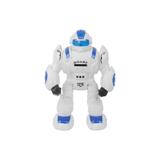 Smart Robot Toy with Remote Control