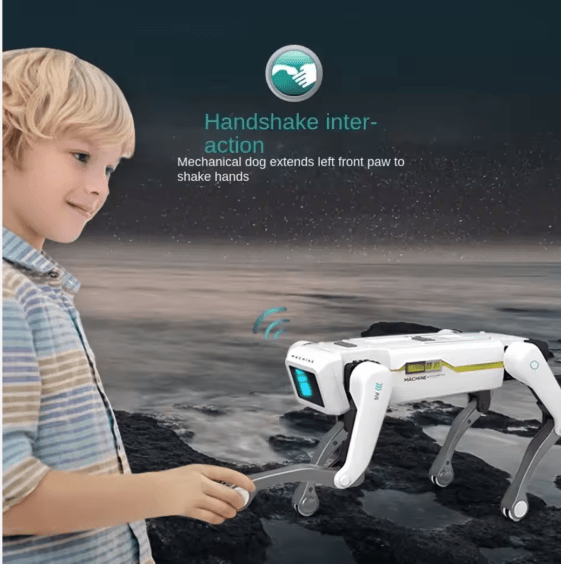 Smart Dog Multifunctional Toy